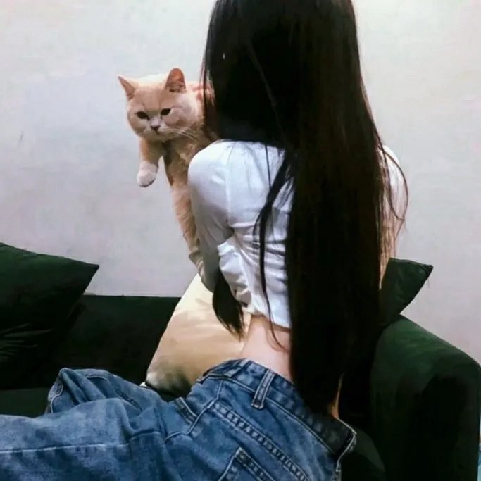 杨光的快乐生活1